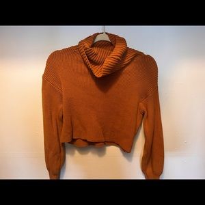 Cropped Turtle Neck Sweater